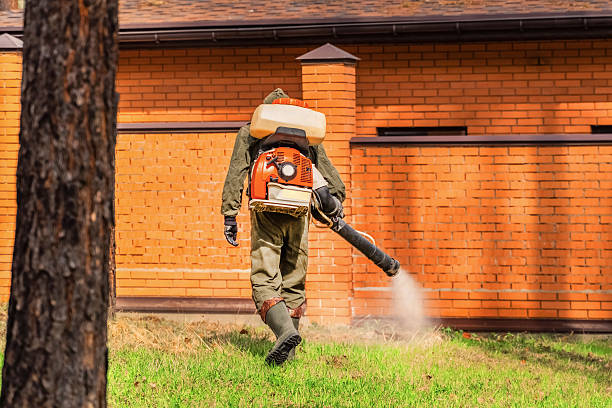 Bed Bug Clearance Verification and Documentation in Berwyn Heights